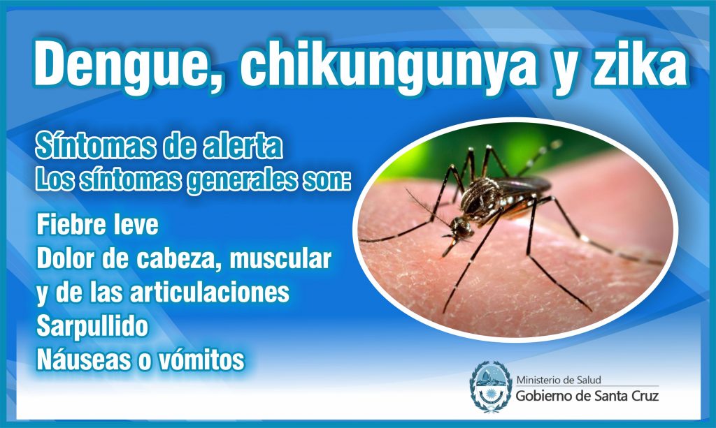 dengue 1