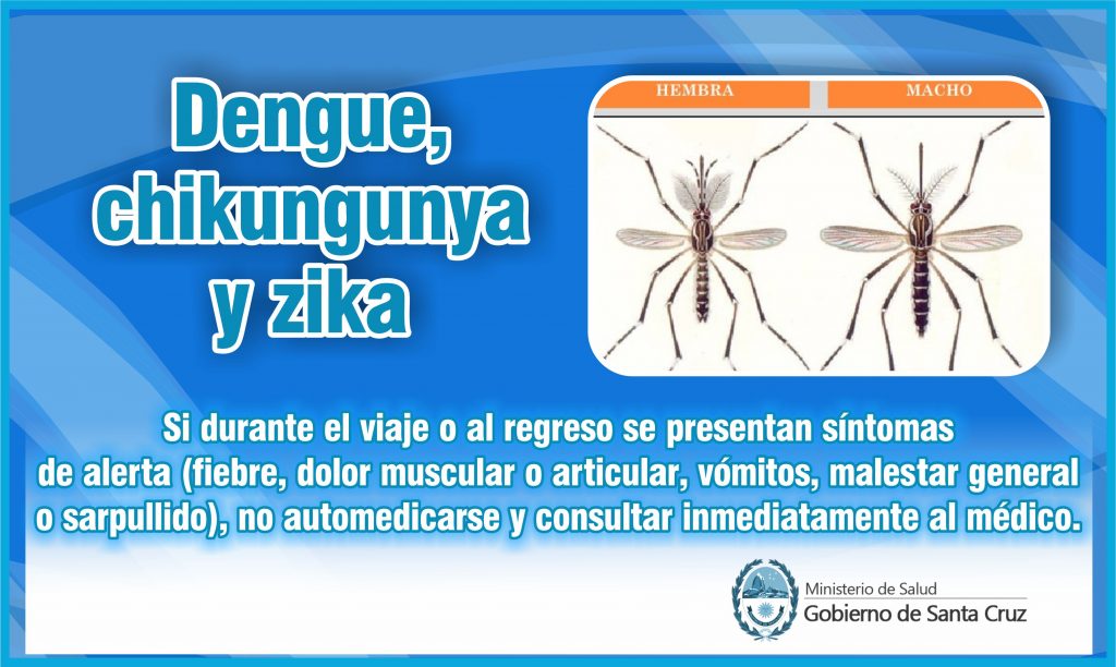 dengue 2