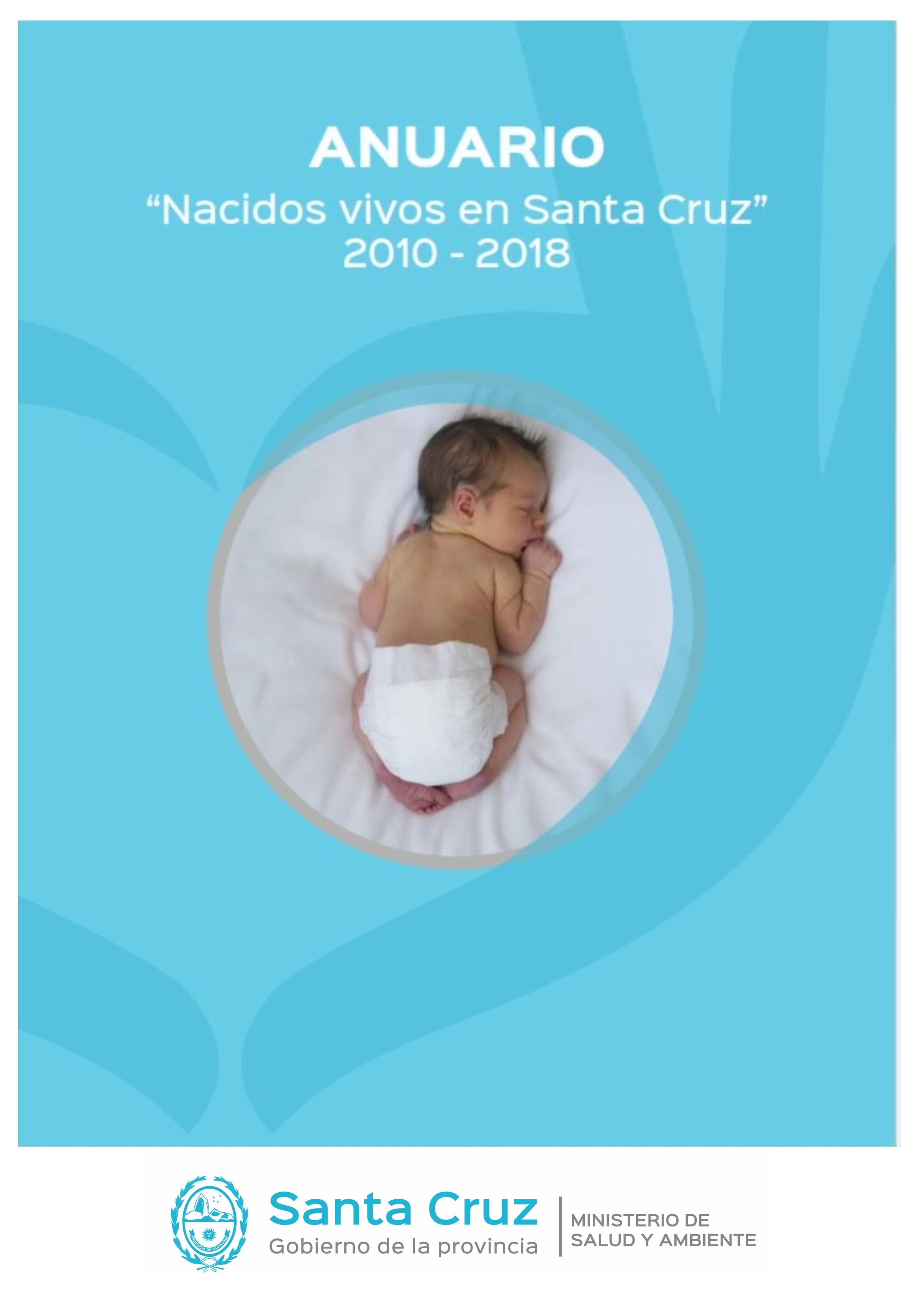 Nacidos Vivos Santa Cruz – 2010/2018